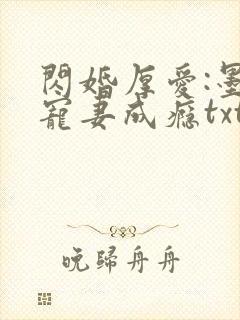 闪婚厚爱:墨少宠妻成瘾txt下载