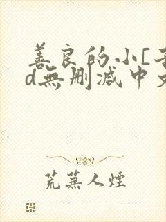 善良的小[子hd无删减中文