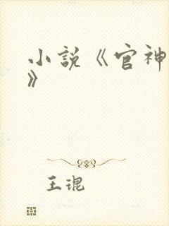 小说《官神夏想》