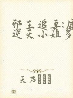 邪王追妻:废材逆天小姐多少字