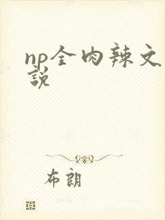 np全肉辣文小说