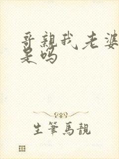 哥亲我老婆很爽是吗封面