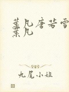 叶凡唐若雪医婿叶凡