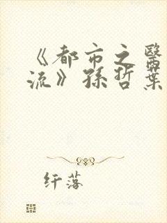 《都市之医武风流》孙哲叶巧