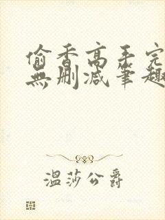 偷香高手完整版无删减笔趣阁无弹窗封面