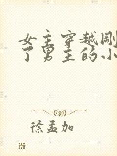 女主穿越刚好救了男主的小说