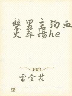 双男主狗血追妻火葬场he