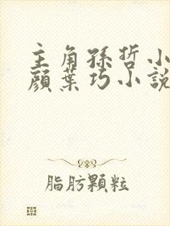 主角孙哲小妈朱颜叶巧小说