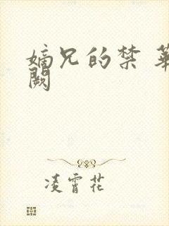 嫡兄的禁 华阙阙