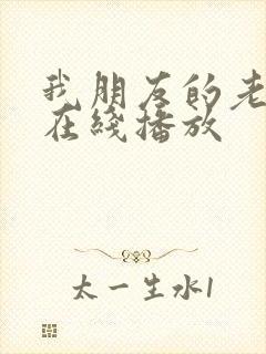 我朋友的老婆 在线播放