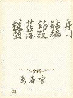 校花的贴身高手堕落改编 小说