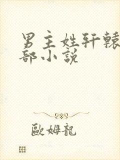 男主姓轩辕的全部小说