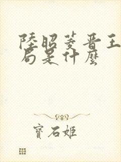 陆昭菱晋王大结局是什么封面