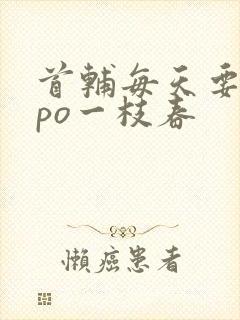 首辅每天要不够po一枝春封面