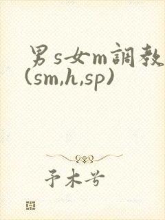 男s女m调教文(sm,h,sp)