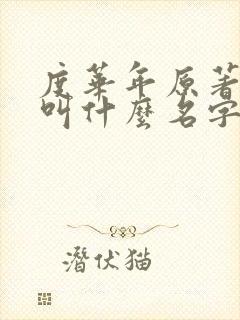 度华年原著小说叫什么名字