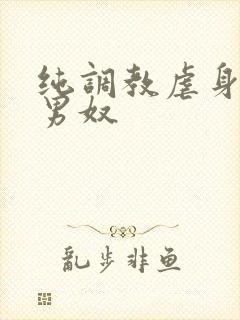 纯调教虐身惩罚男奴