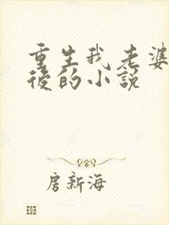 重生我老婆是天后的小说