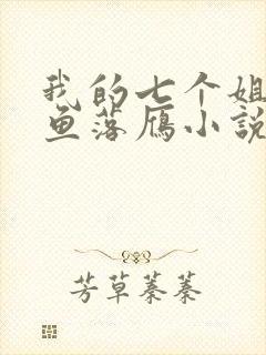 我的七个姐姐沉鱼落雁小说在线阅读