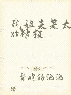 我姐夫是太子txt精校