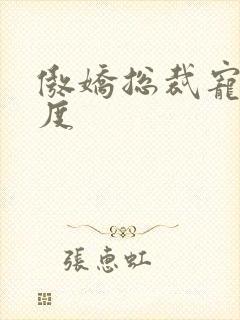 傲娇总裁宠妻无度