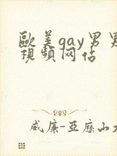 欧美gay男男视频网站
