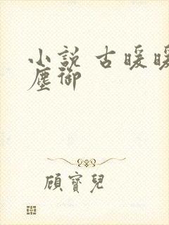小说 古暖暖江尘御