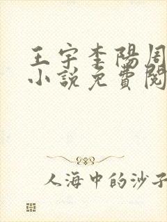 王宇李阳周美琴小说免费阅读全文
