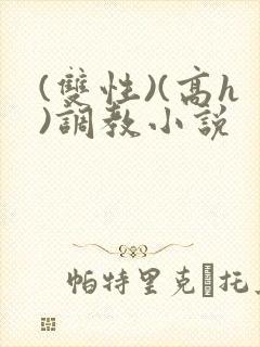 (双性)(高h)调教小说封面