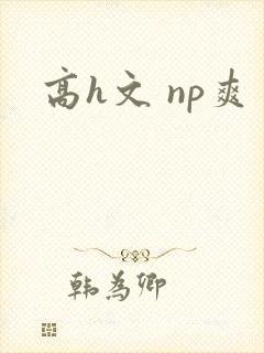高h文 np爽