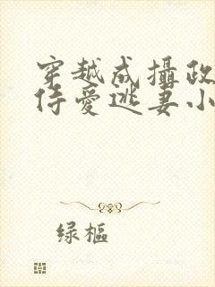 穿越成摄政王的侍爱逃妻小说免费