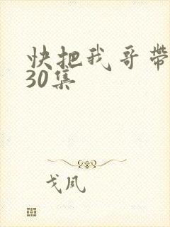 快把我哥带走全30集封面