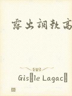 露出调教高h文
