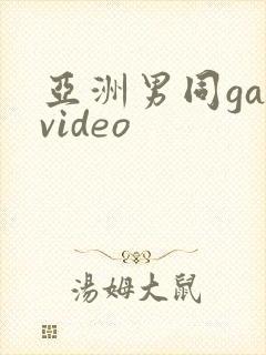 亚洲男同gayvideo