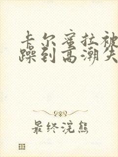 卡尔蜜拉被狂c躁到高潮失禁小说