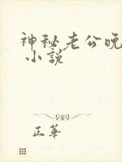 神秘老公晚上见 小说