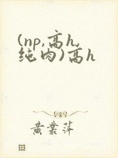 (np,高h,纯肉)高h