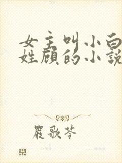 女主叫小白男主姓顾的小说