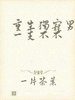 重生独宠男妻 一支不不