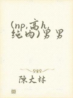 (np,高h,纯肉)男男封面
