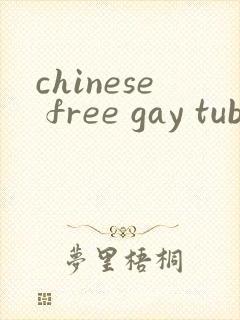 chinese free gay tube