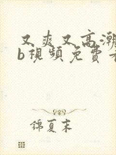 又爽又高潮的bb视频免费看