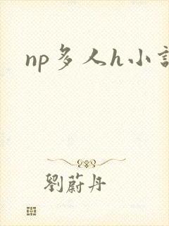 np多人h小说