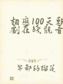 相恋100天韩剧在线观看全集免费
