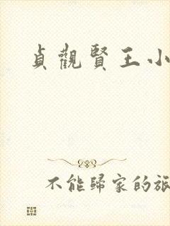 贞观贤王小说