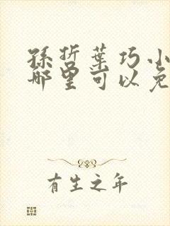 孙哲叶巧小说在哪里可以免费阅读