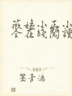 薇姨小正小说大全在线阅读