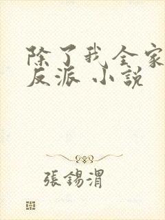 除了我全家都是反派 小说