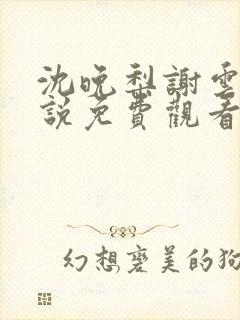 沈晚梨谢云迟小说免费观看