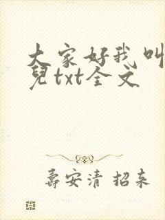 大家好我叫林喜儿txt全文